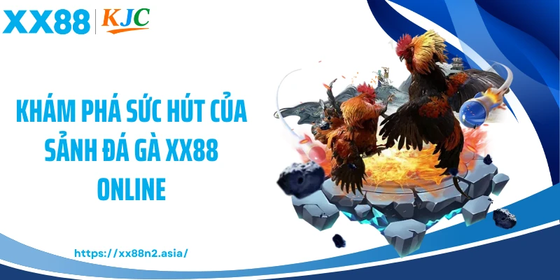 Khám phá sức hút của sảnh đá gà XX88 online