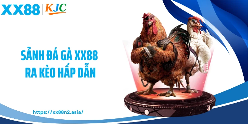 Sảnh đá gà XX88 ra kèo hấp dẫn