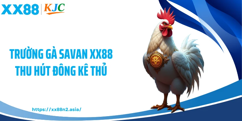 Trường gà Savan XX88 thu hút đông kê thủ